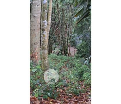 1000sqm land, For rent