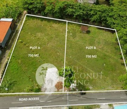 750 Sqm, Land For rent