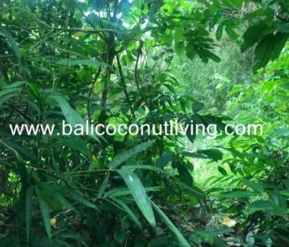 Land For sale 4,16 are