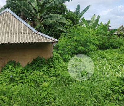 Land for sale 10 are