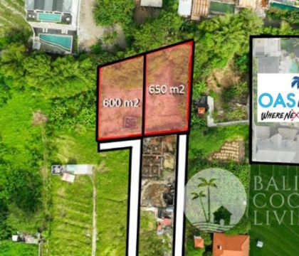 1250 Sqm, Land for lease