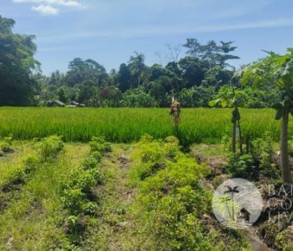 52,95 Sqm, Land for rent