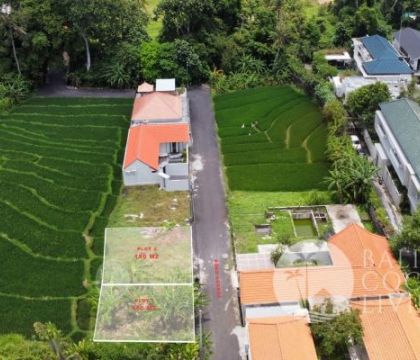 150 Sqm Land For Sale &ndash; Canggu 