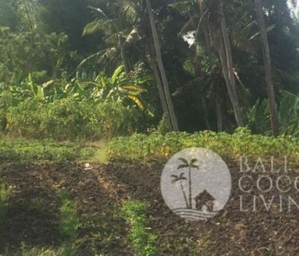 Land 10 are, for sale