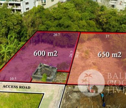 1250 Sqm, Land for lease