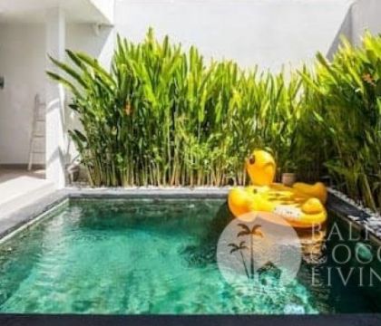 Villa Saudara 2