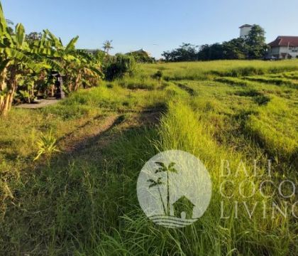 Land for sale, 6 are
