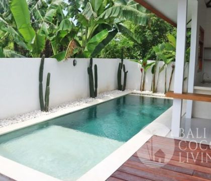 Villa La Bonita 3