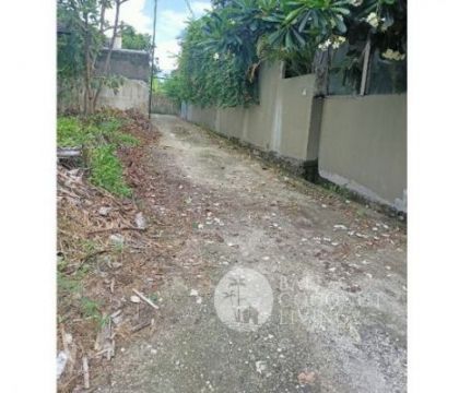 Land 300 sqm, For rent