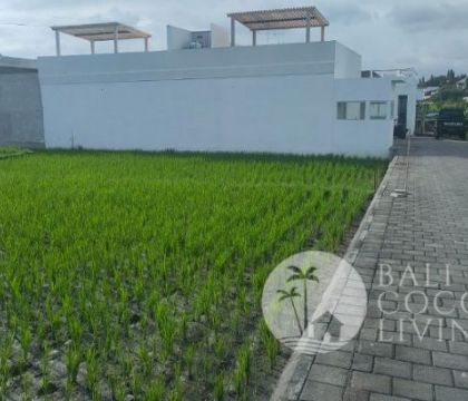 Land 7 are, For rent 