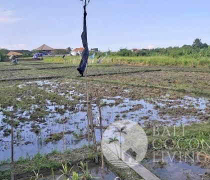 500 Sqm, Land for sale