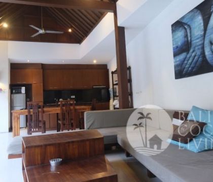 Villa Nuvo