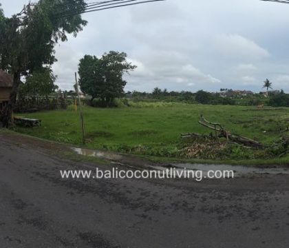 Land on Pererenan