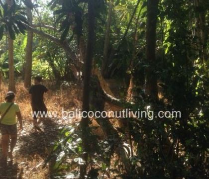 Land on Pererenan