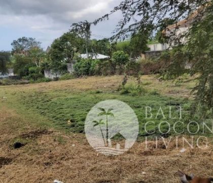 4300 Sqm, Land for rent