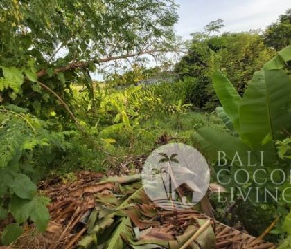 500 sqm, Land for rent