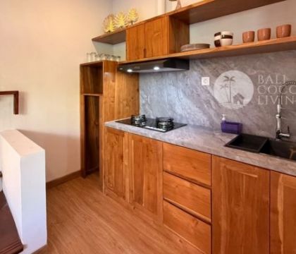 Rustic Star Villa 22