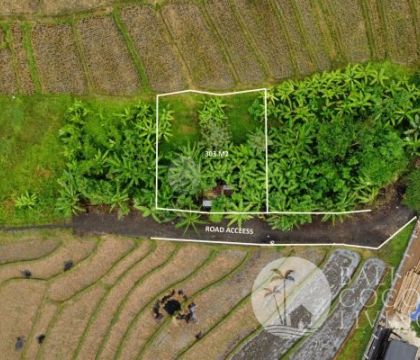 303 Sqm, Land for sale