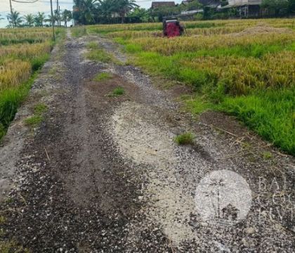 5 Are land, For lease