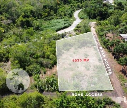 10 Ara Land For Sale Freehold