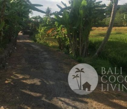 Land 10 are, for sale