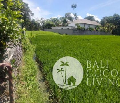 Land for lease 8 are