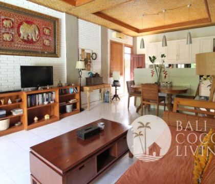 Villa Darina