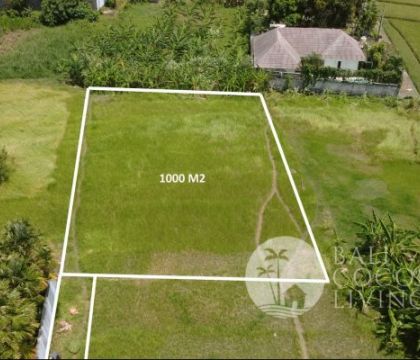 Land, For lease 10 Are
