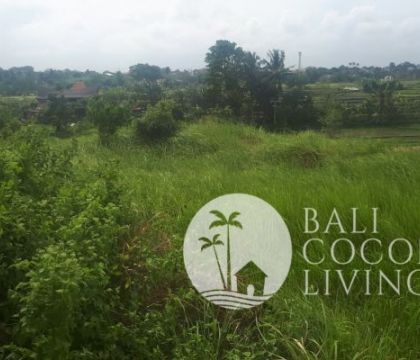 Land for sale 5 are