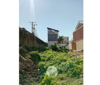 2 Plot Land For Sale in Berawa