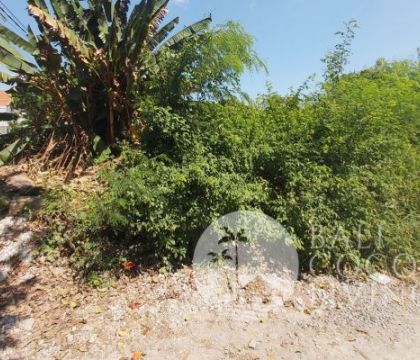 1430 Sqm, Land for rent