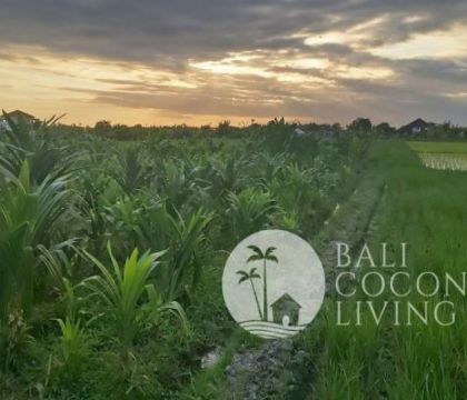 11 Are, Land for sale