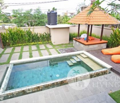 Joglo Radit 1