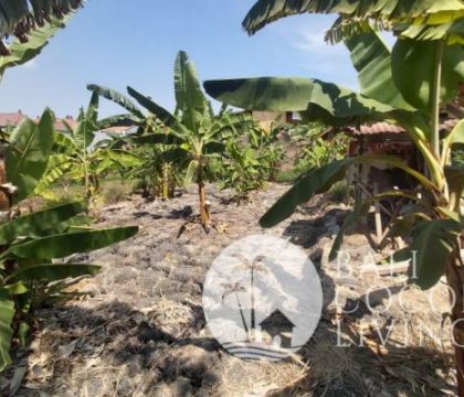 Land for sale 2 are 