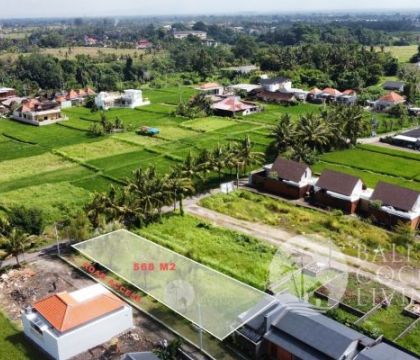 Land For Sale 568 Sqm 