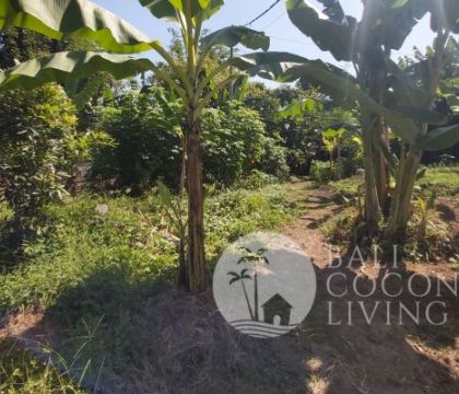 For rent, Land 5 are