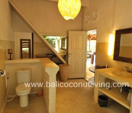 The Jungle Green Villa