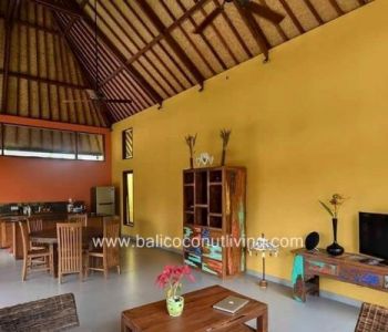 Villa Kelapa