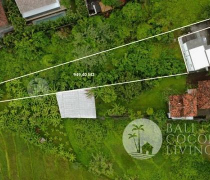 949,40 Sqm Land, For rent