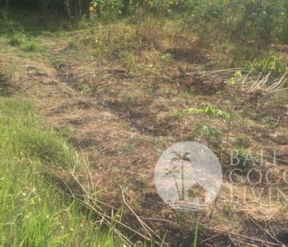 Land 10 are, for sale