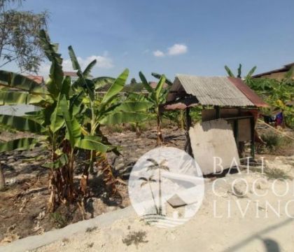 Land for sale 2 are 