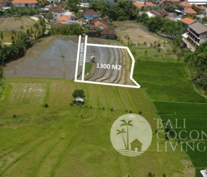 1300 Sqm for rent, Land