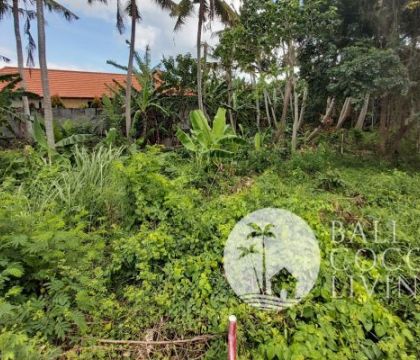 4 Are land for sale