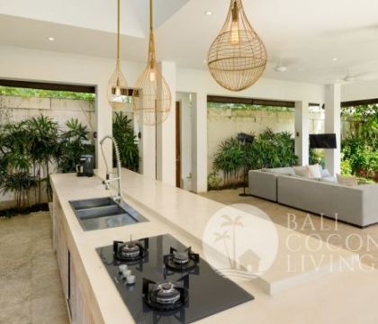 Casa Palmera 2