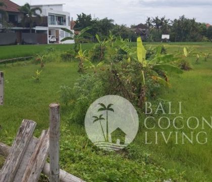 1000 Sqm, Land for rent