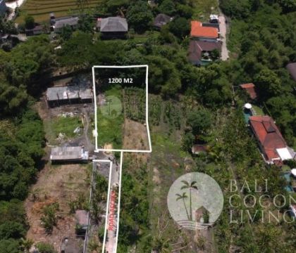 1200 Sqm land, For rent