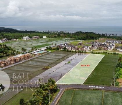 Land For Sale Leasehold 4013 Sqm 