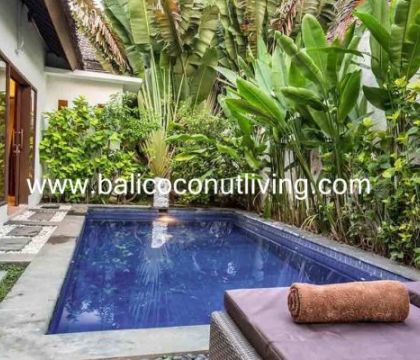 Villa Water Lily