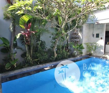 Villa Vivin