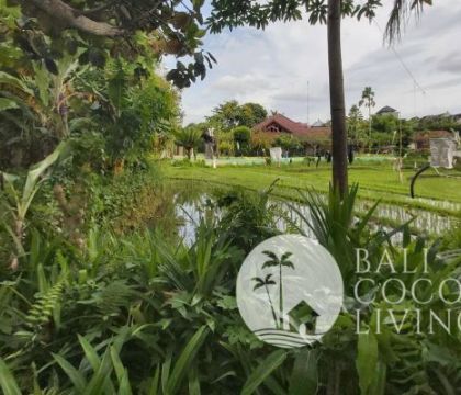 710 Sqm, Land for sale